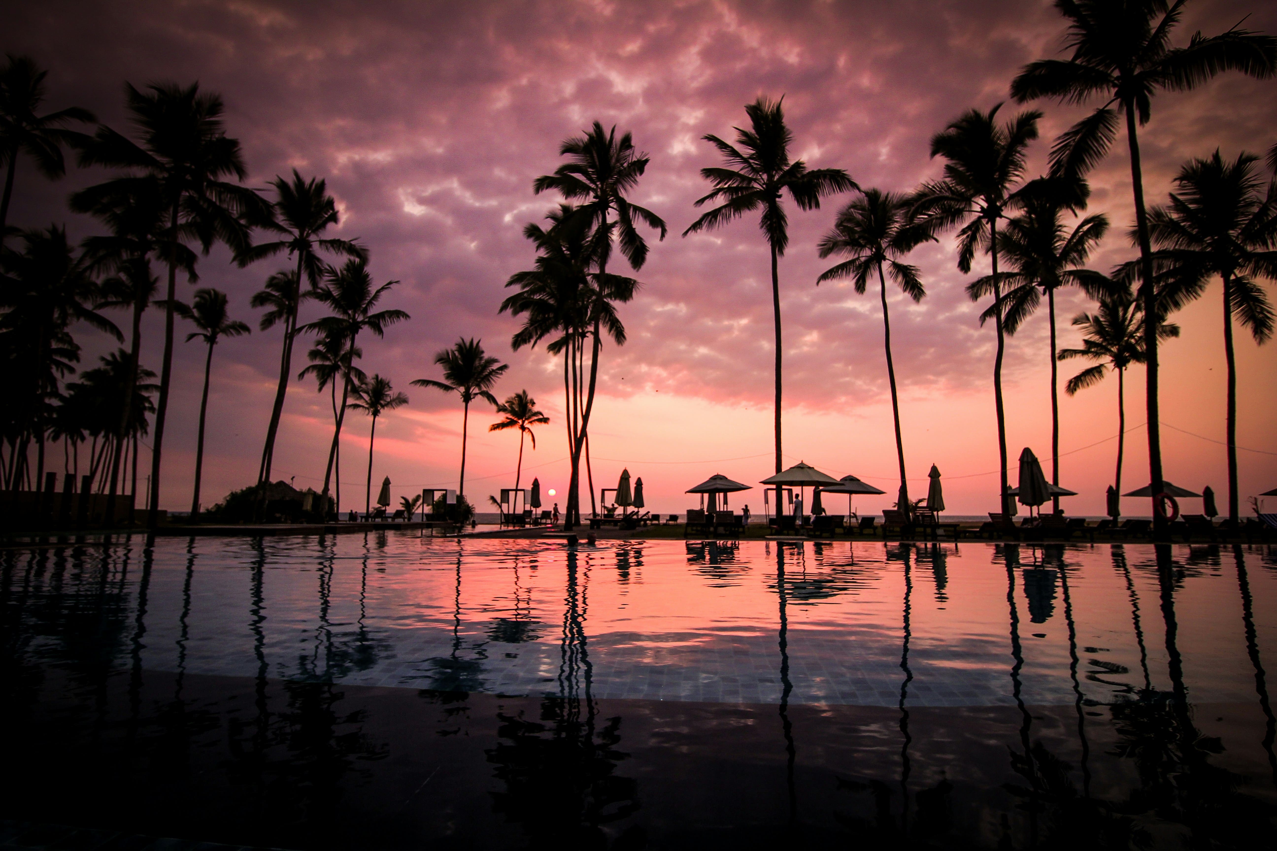 Negombo β The Garden of Fish