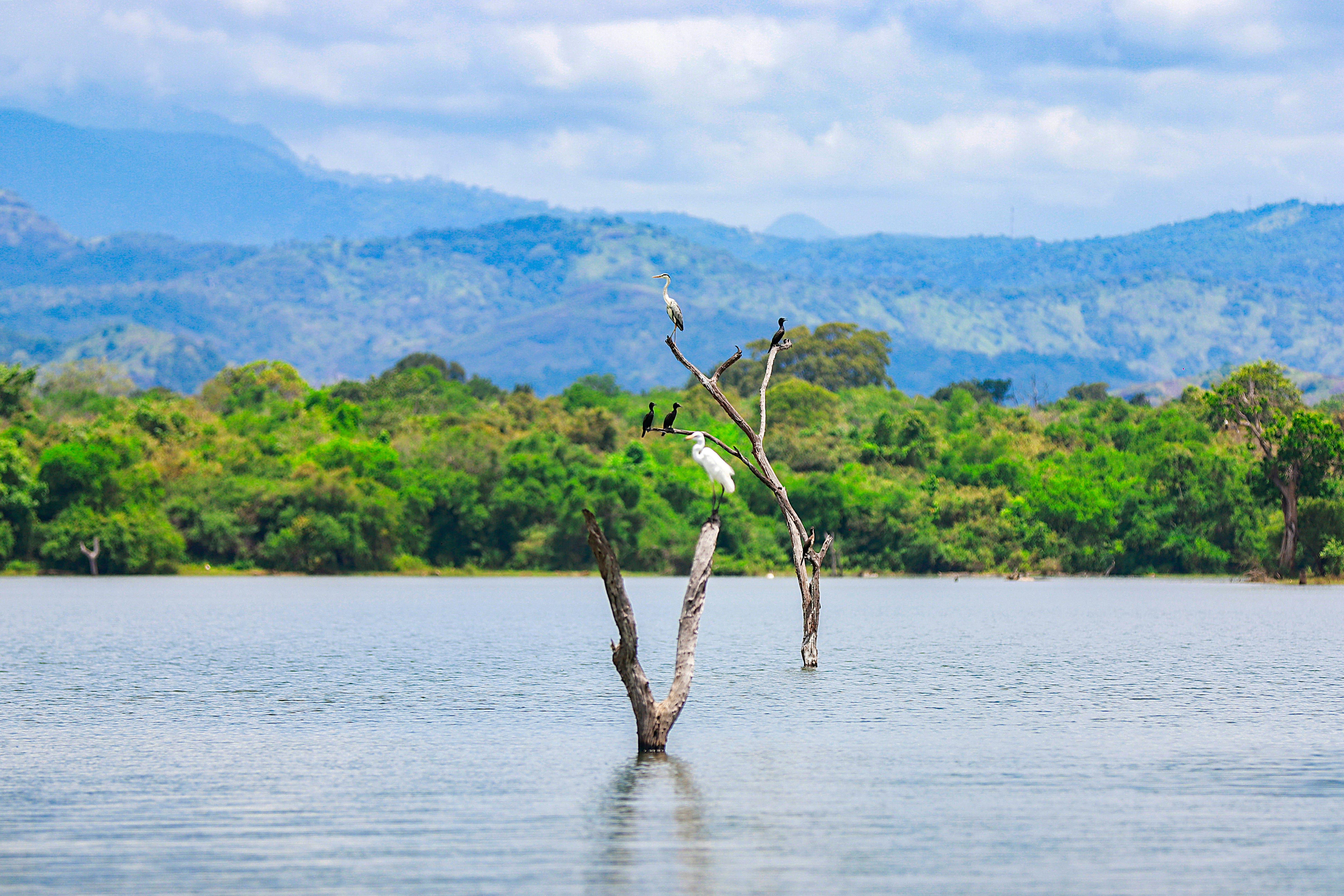 Udawalawe National Park