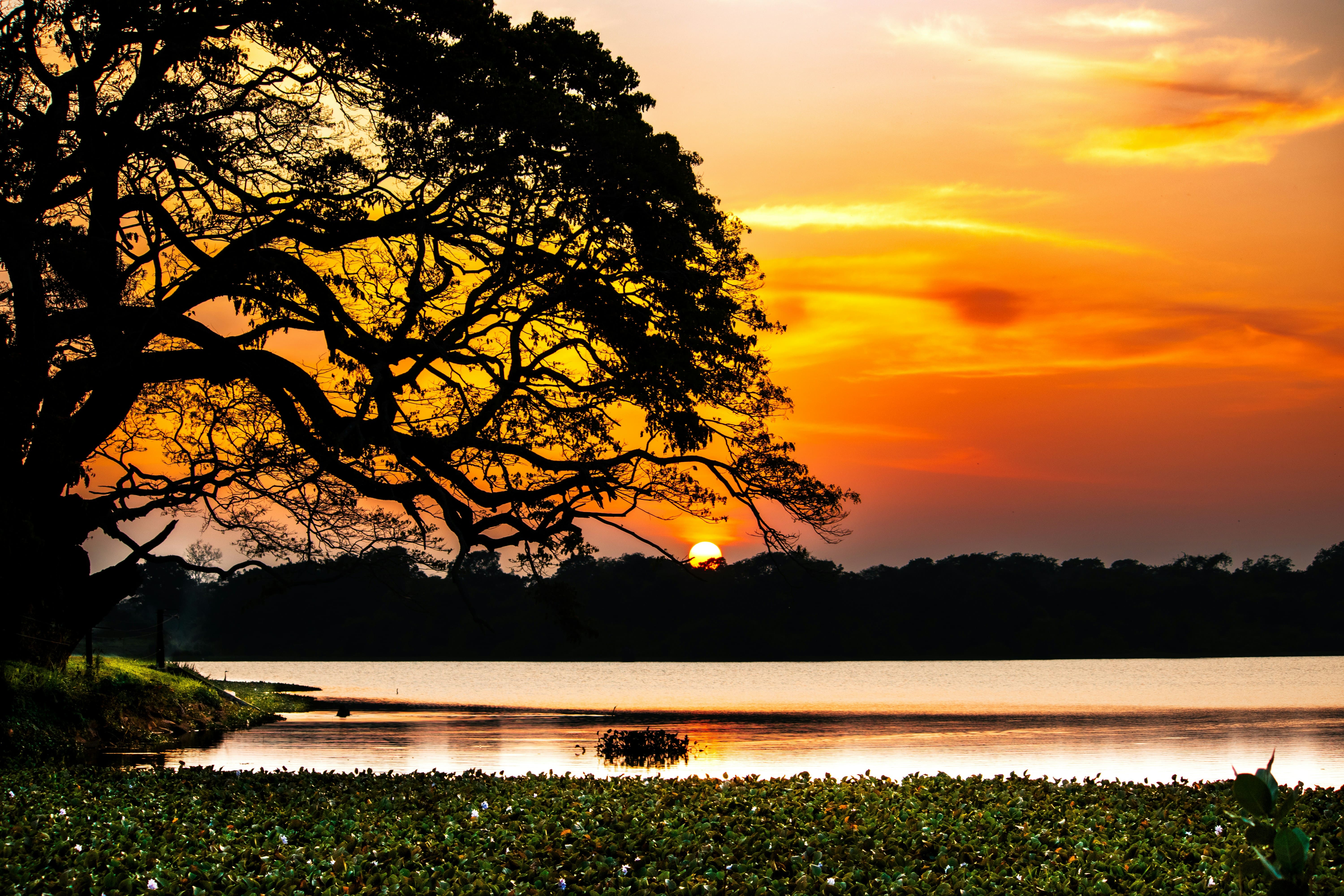 Wilpattu National Park