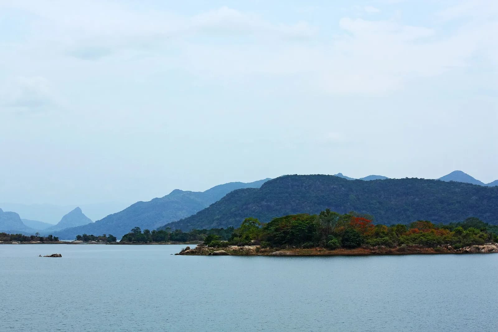 Wild Asian elephant swimming across the serene Senanayake Samudraya reservoir in Gal Oya National Park