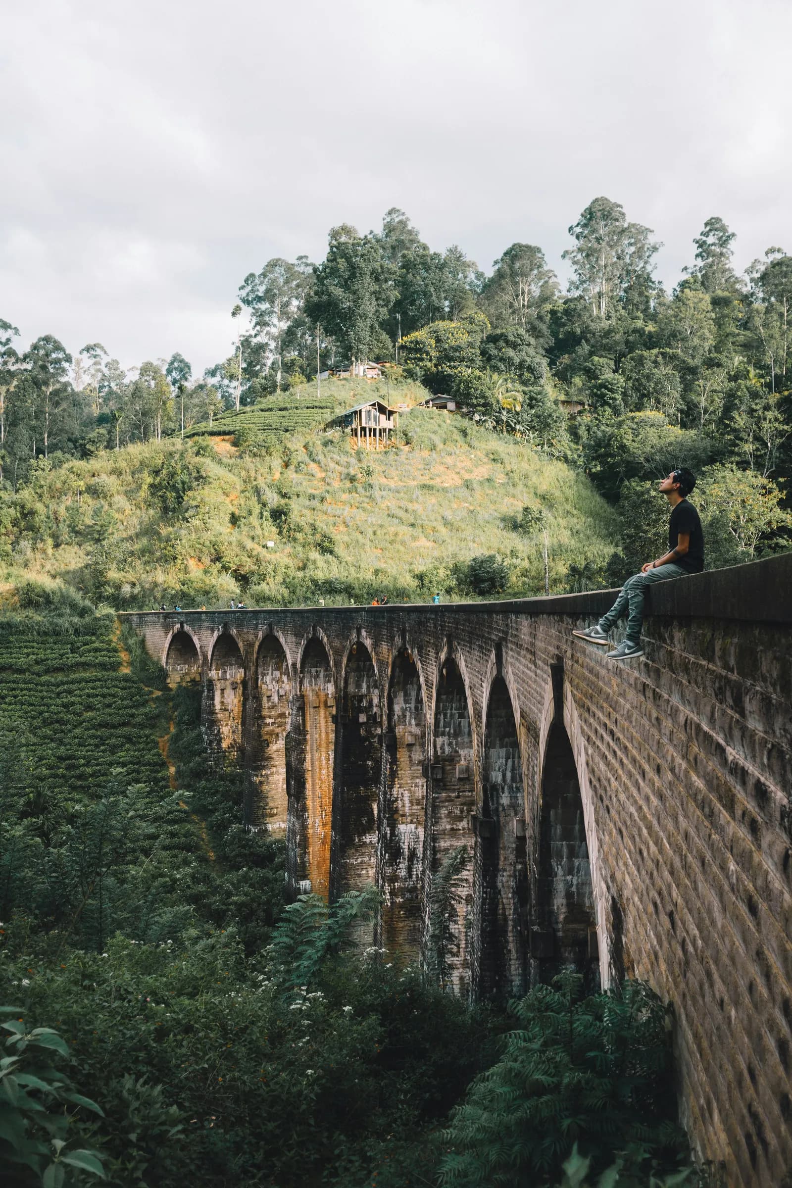 The Nine Arches Bridge at Ella surrounded by tea country and jungle