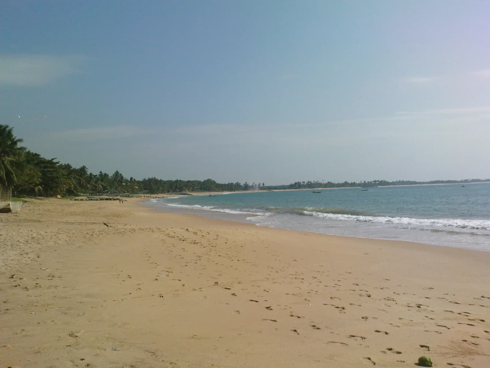 Tangalle coastal beach cove and palm trees