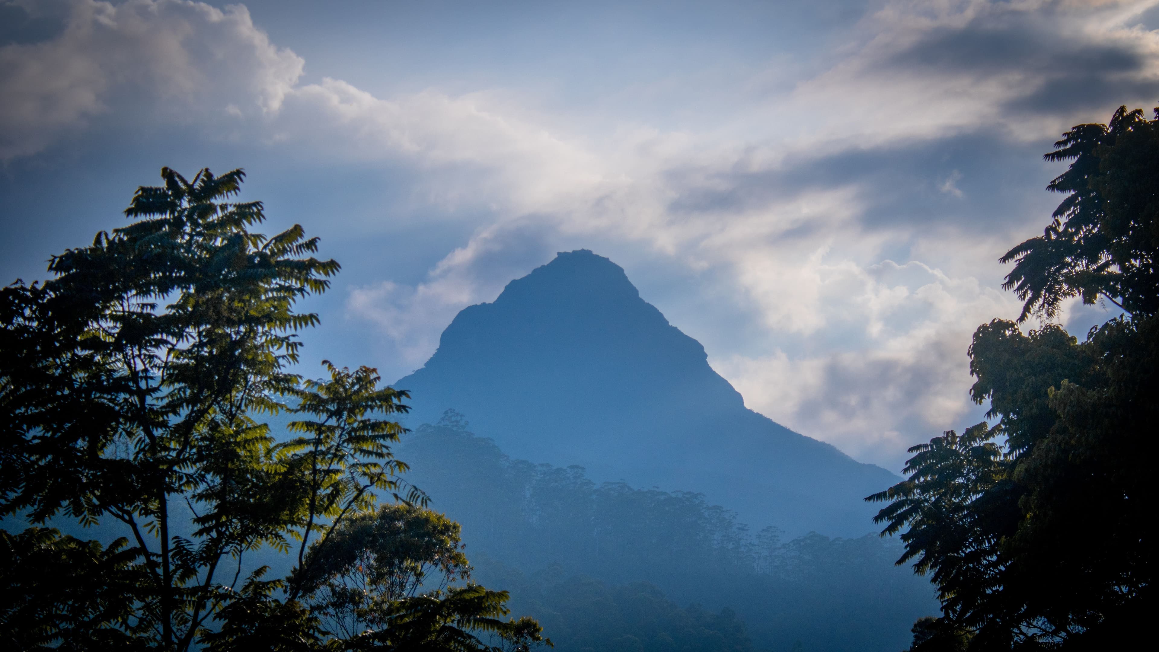 Spectacular sunrise vista over the cloud inversion at Sri Pada sacred mountain.