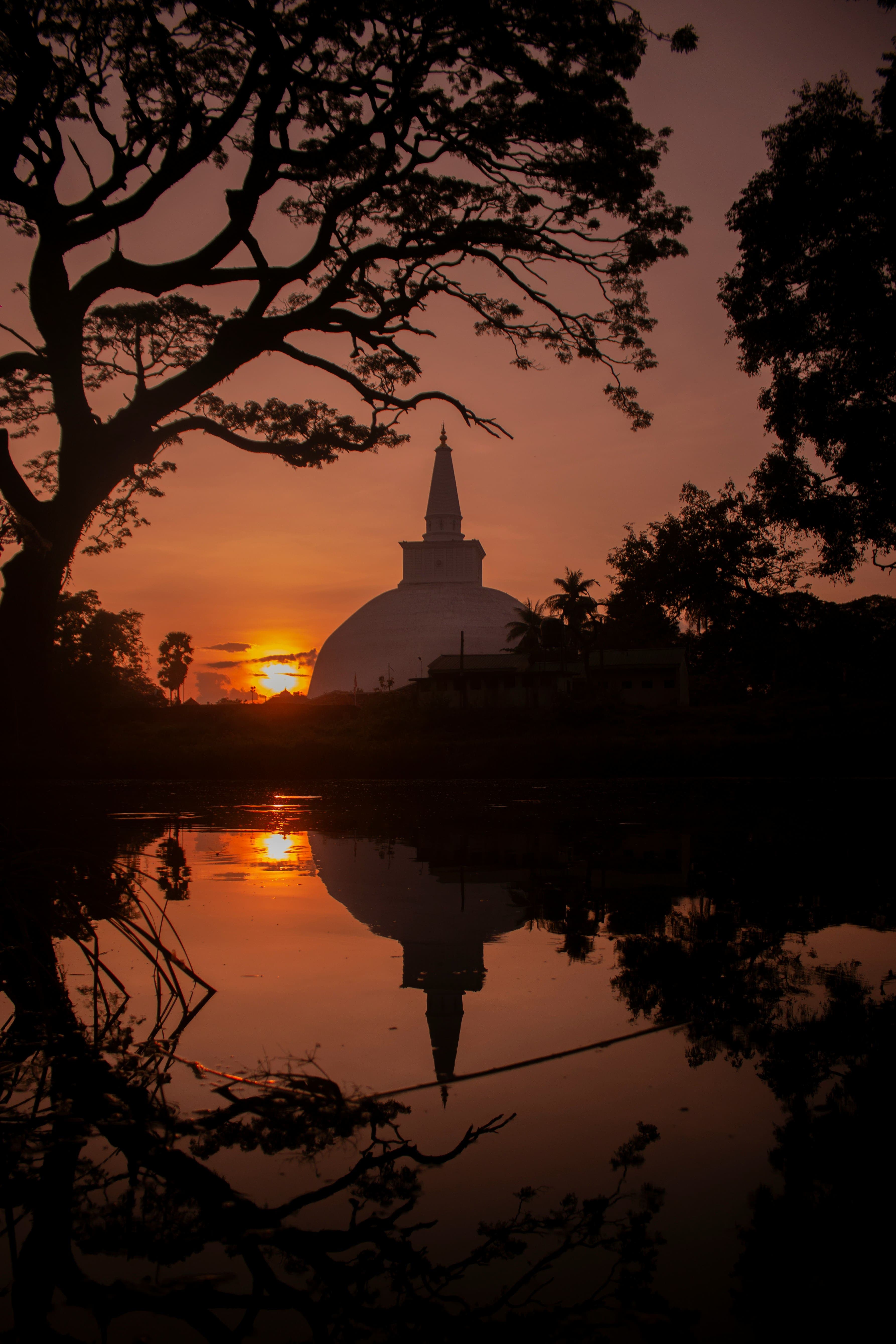 Historic carved stone pillars standing as remnants of ancient royal palaces in Anuradhapura.