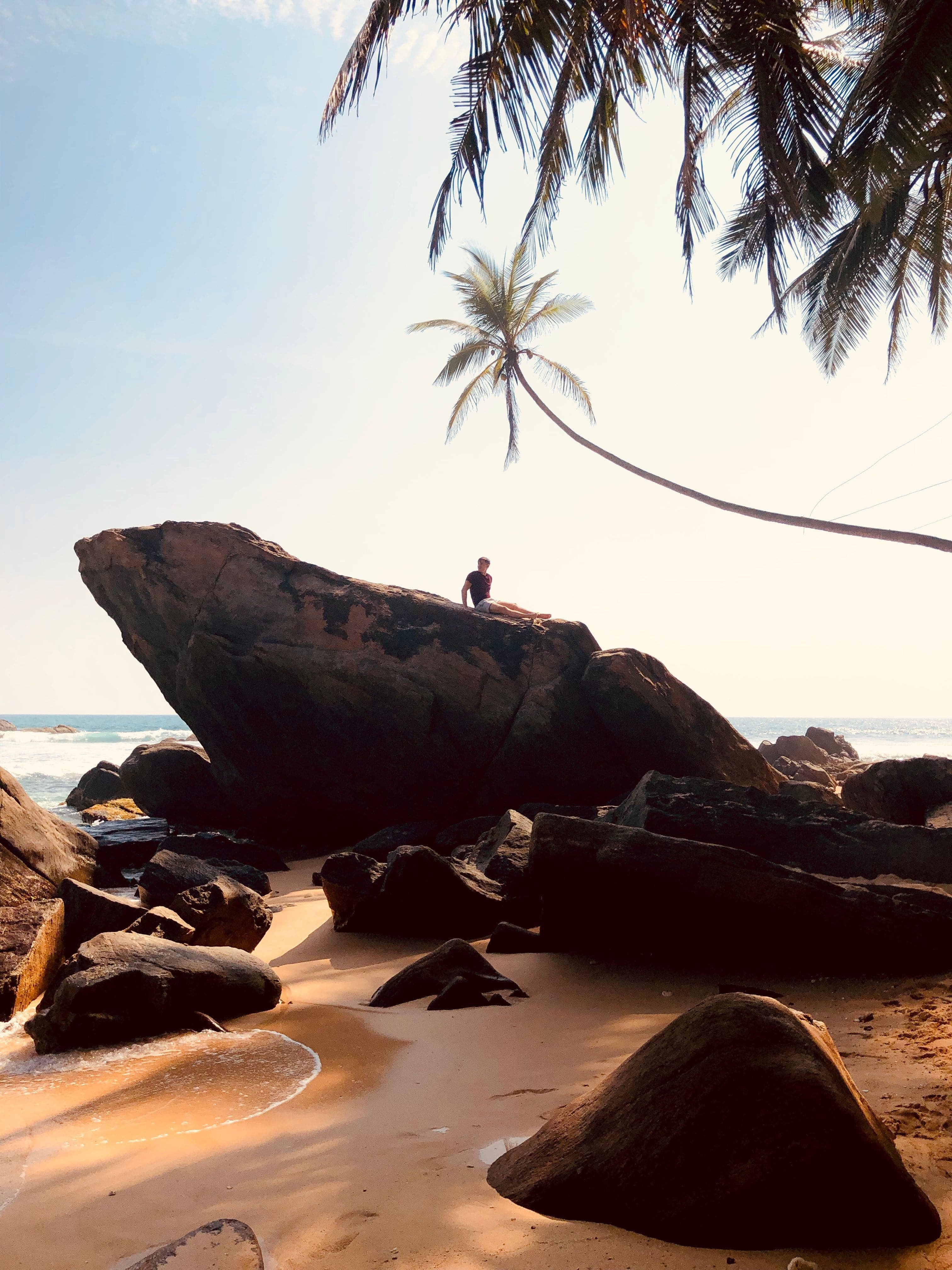 Pristine golden beach lined with towering palm trees overlooking ocean waves.