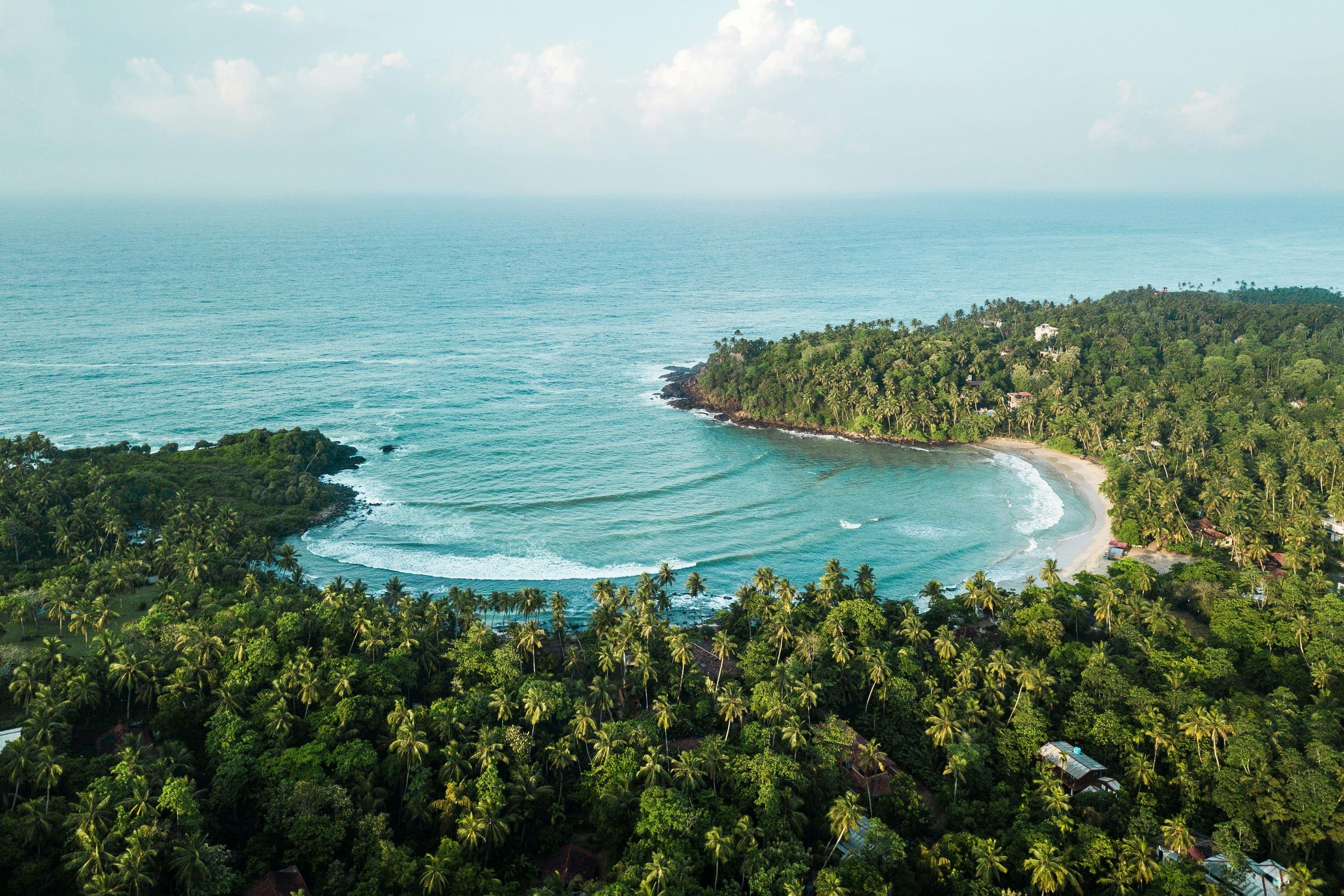 Golden sand beach lined with swaying coconut palms overlooking turquoise ocean waves.
