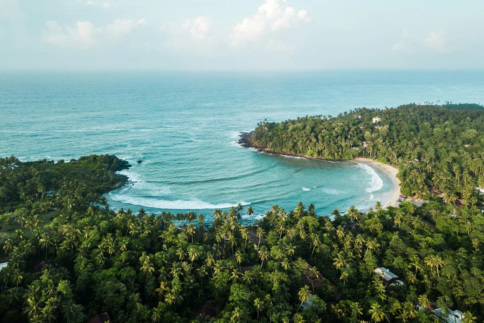 Pristine golden beach lined with coconut palms along the southern coast of Sri Lanka.
