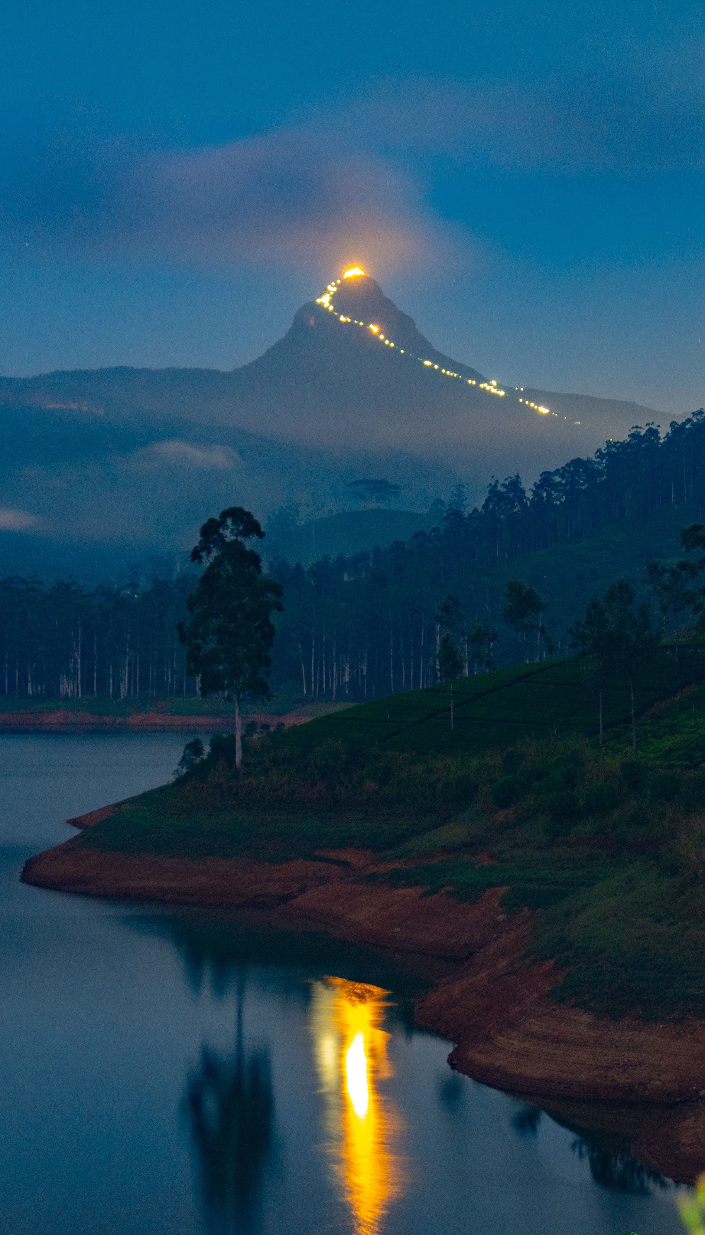 Illuminated pilgrim trail ascending through misty mountain forests at night.