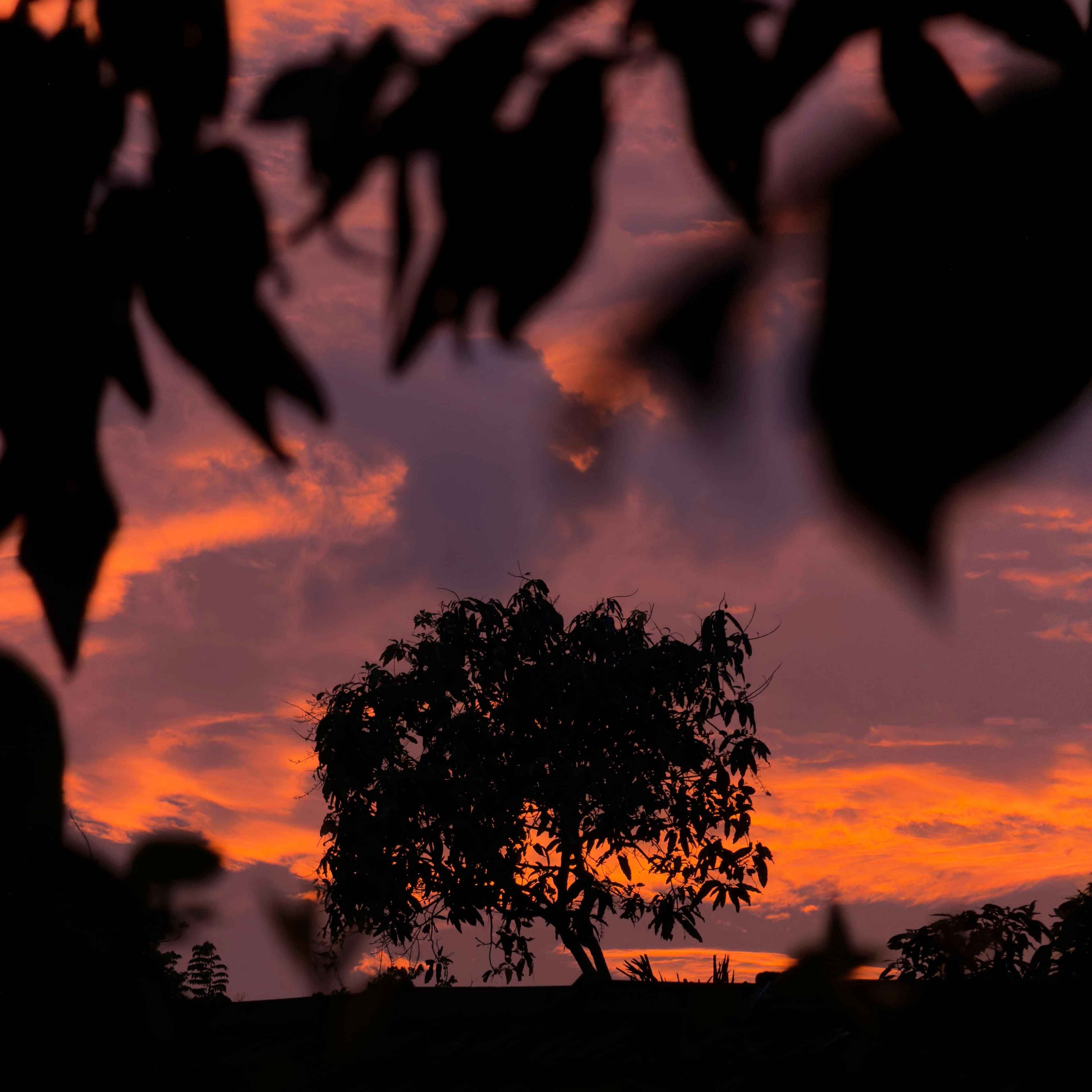 Deep amber and purple twilight hues illuminating the serene Sri Lankan horizon.