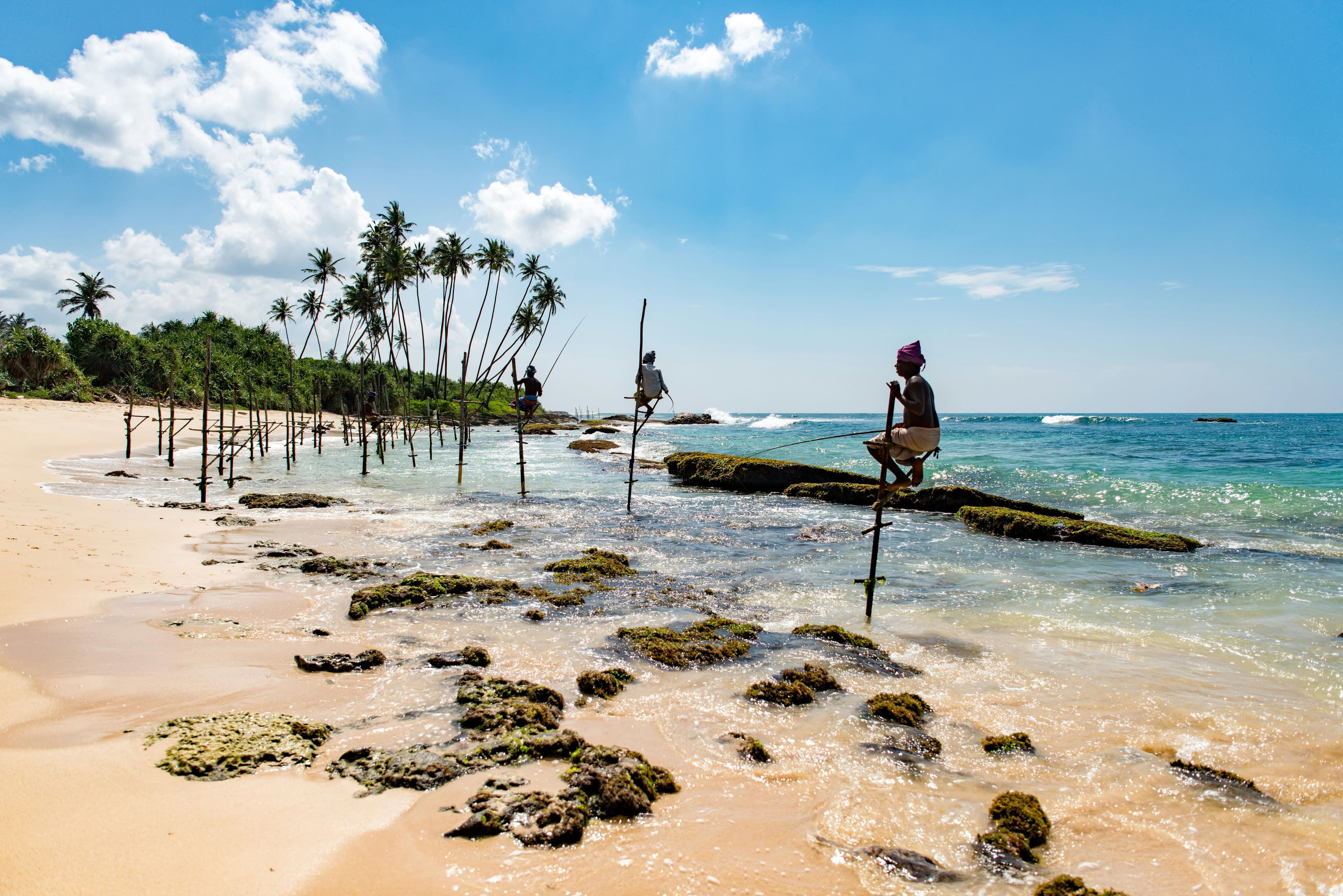 Classic stilt fishing tradition in southern Sri Lanka illuminated by sunset.