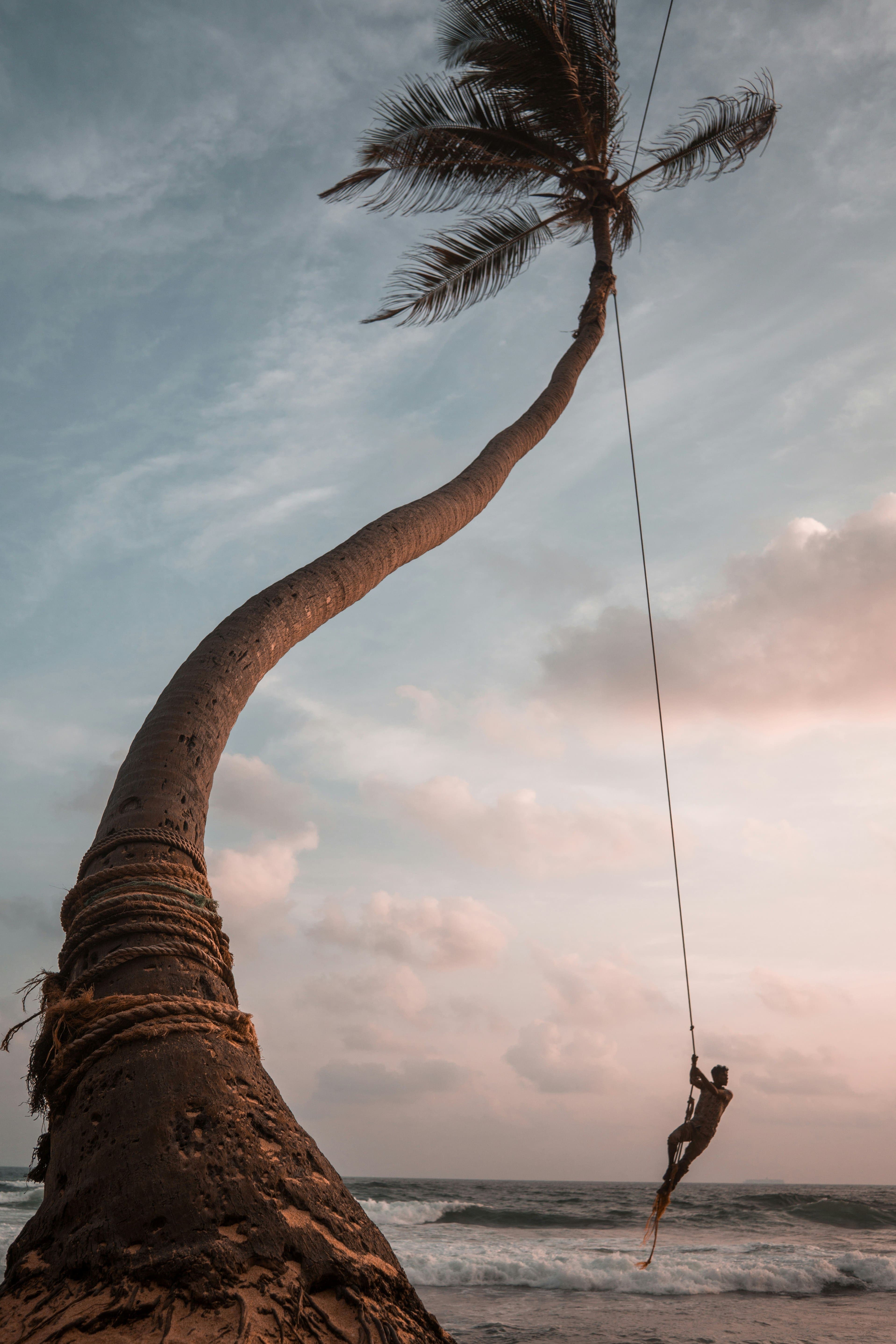 Joyful traveler enjoying an unforgettable scenic stop in Sri Lanka.