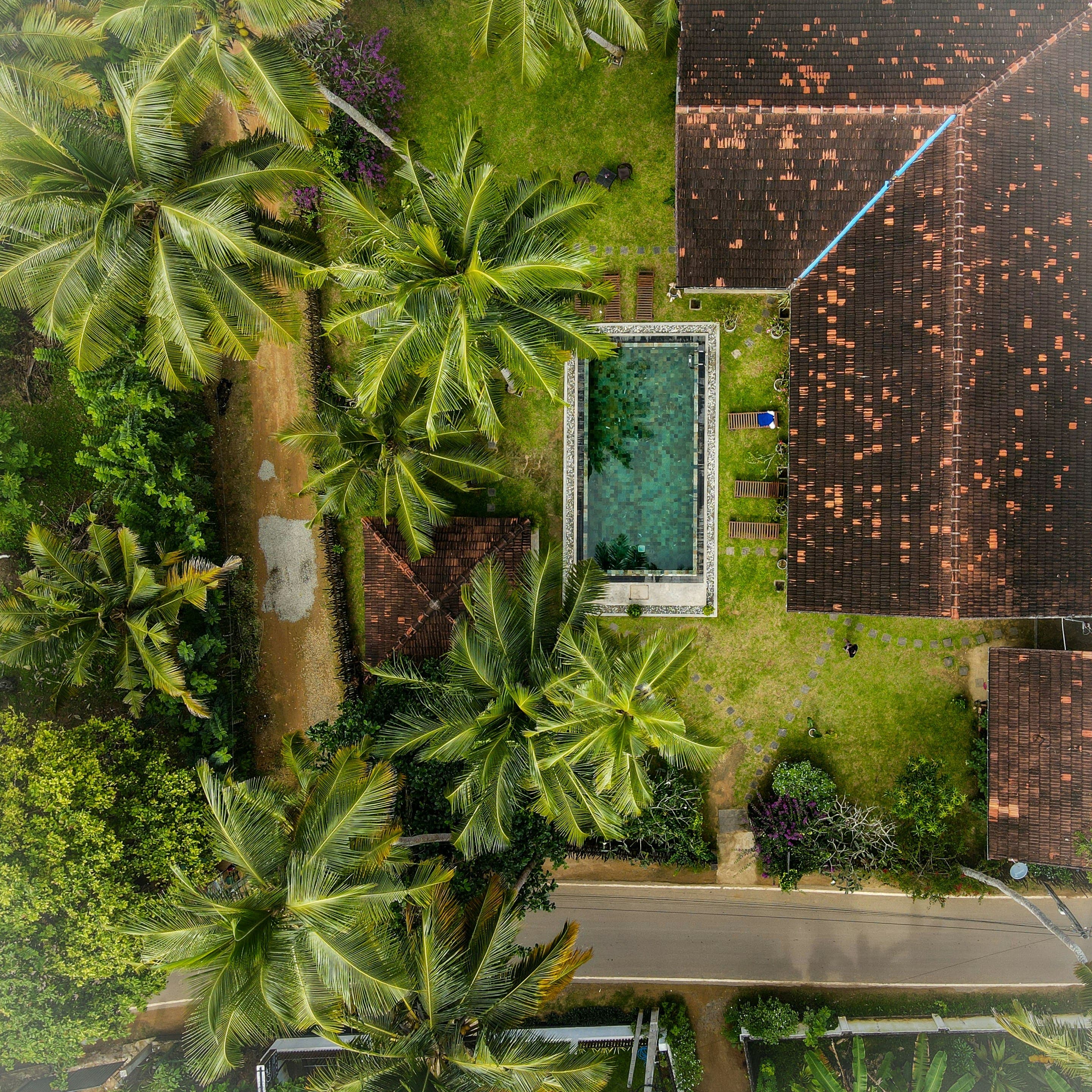 Scenic luxury resort sanctuary overlooking lush emerald highlands in Sri Lanka.
