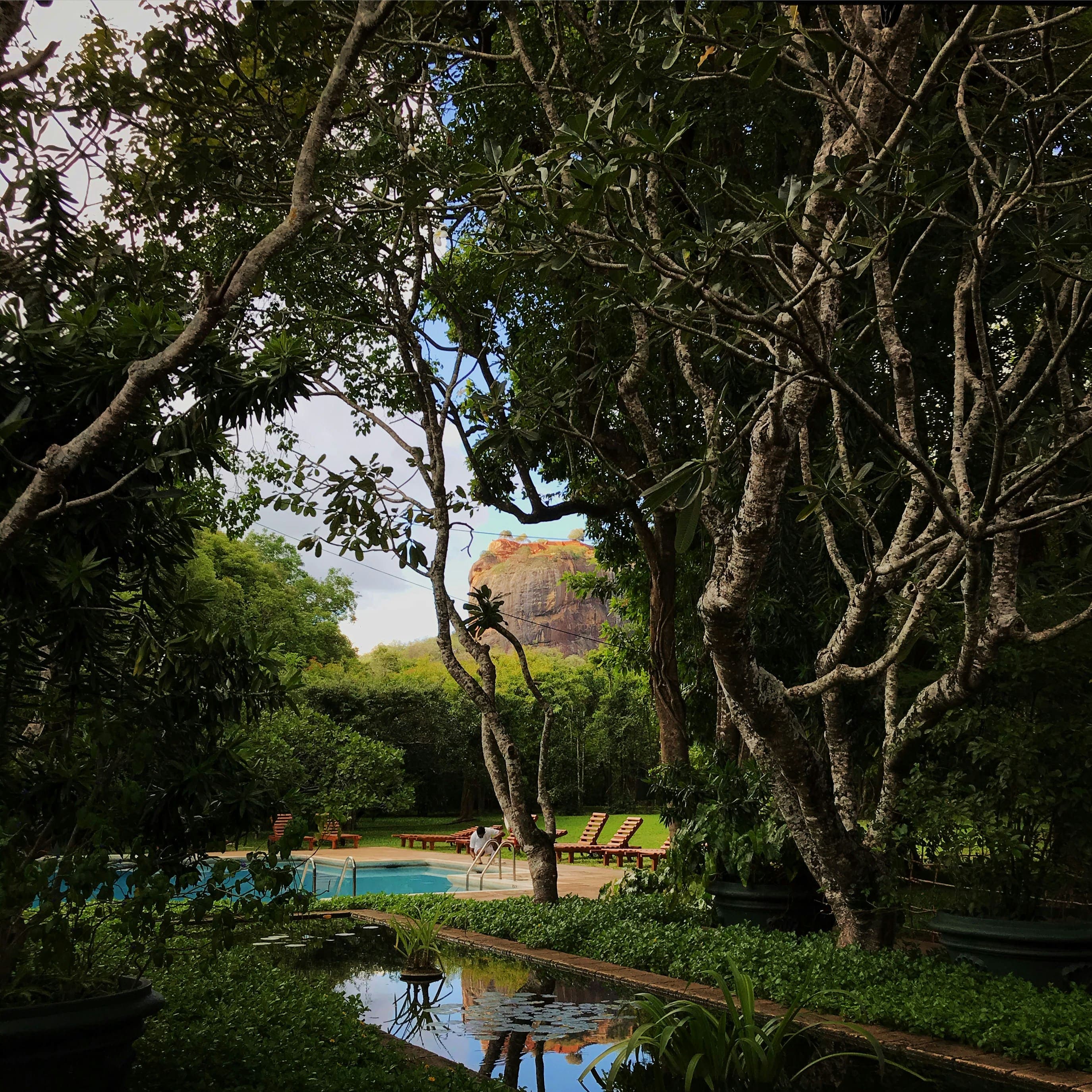Peaceful resort pool terrace with a direct panoramic vista of Sigiriya Lion Rock.
