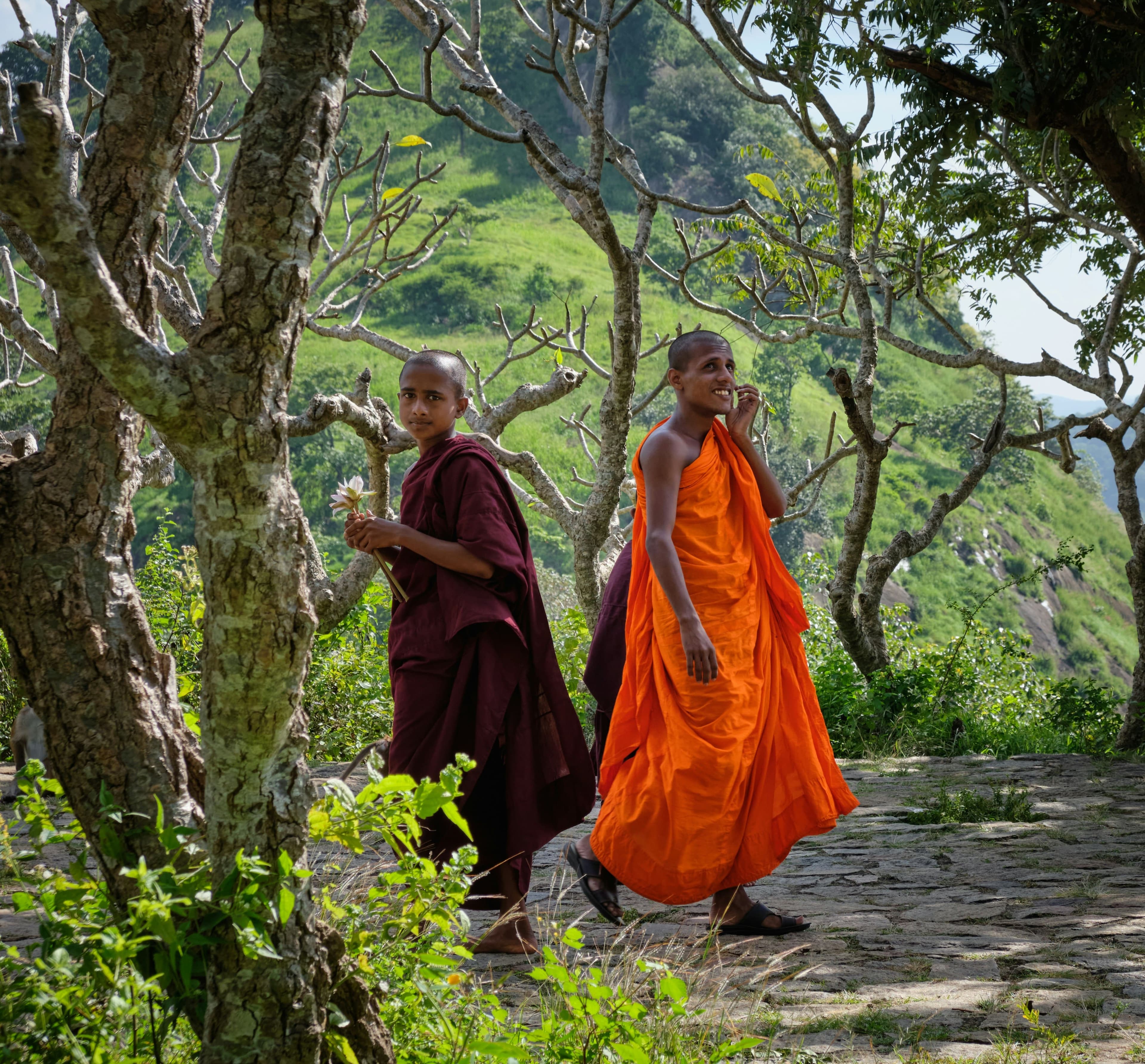Young Buddhist monks in saffron robes standing peacefully at a sacred temple sanctuary.