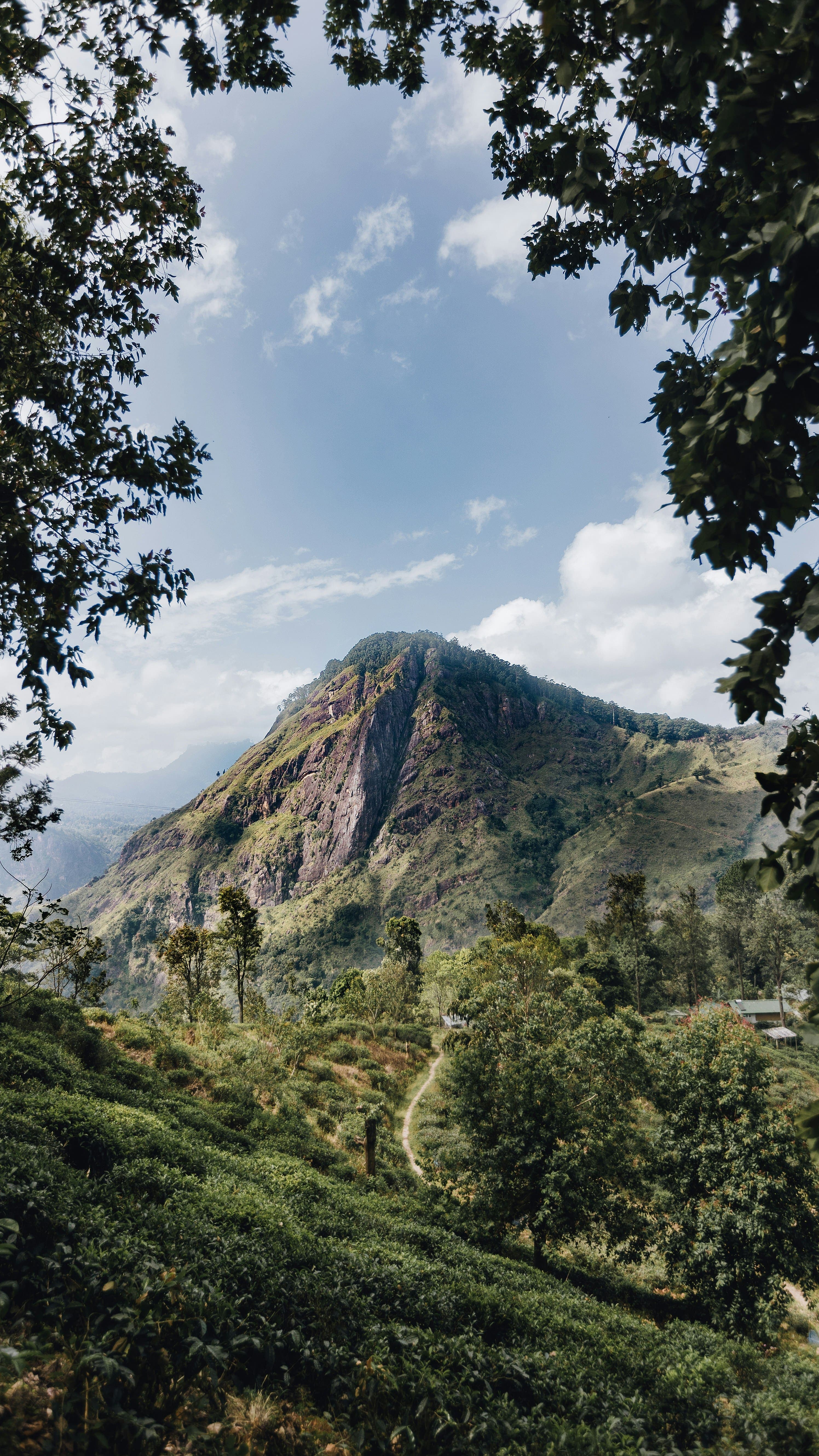 Dramatic mountain ranges and rolling cloud forests in the central highlands.