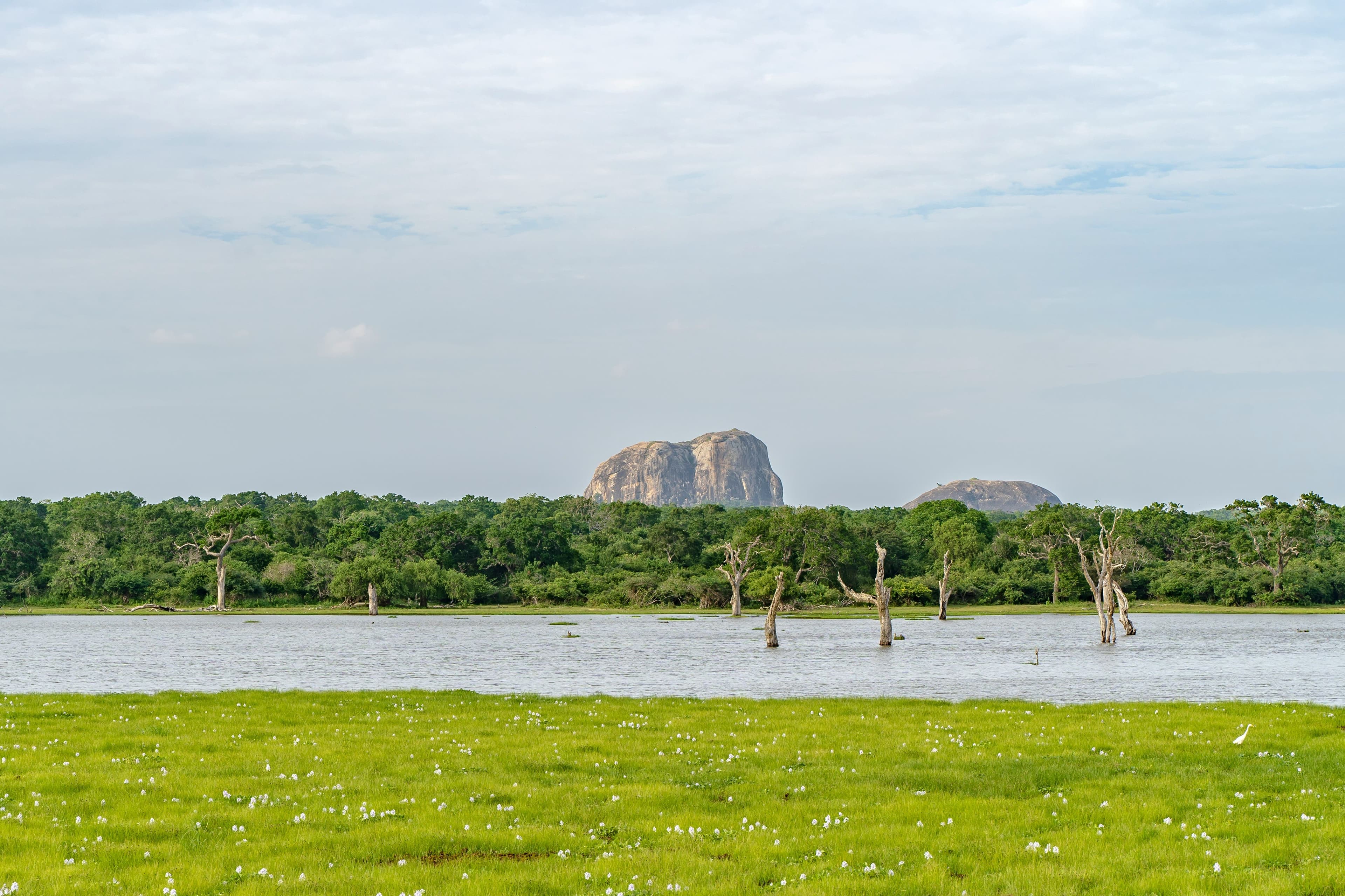 Vibrant tropical landscape showcasing the untouched natural beauty of Sri Lanka.