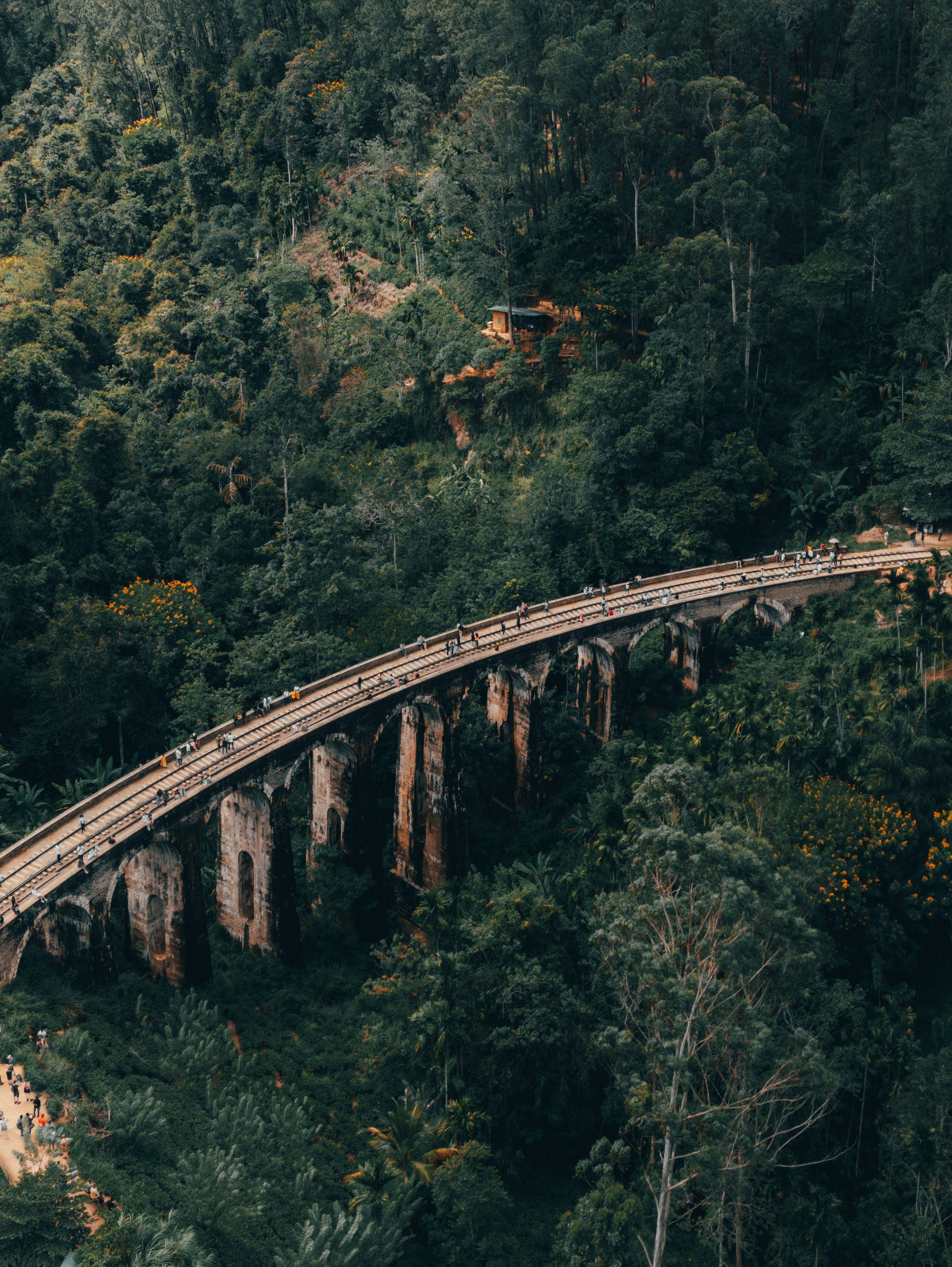 Iconic scenic Nine Arches Bridge nestled amidst emerald tea plantations in Ella.
