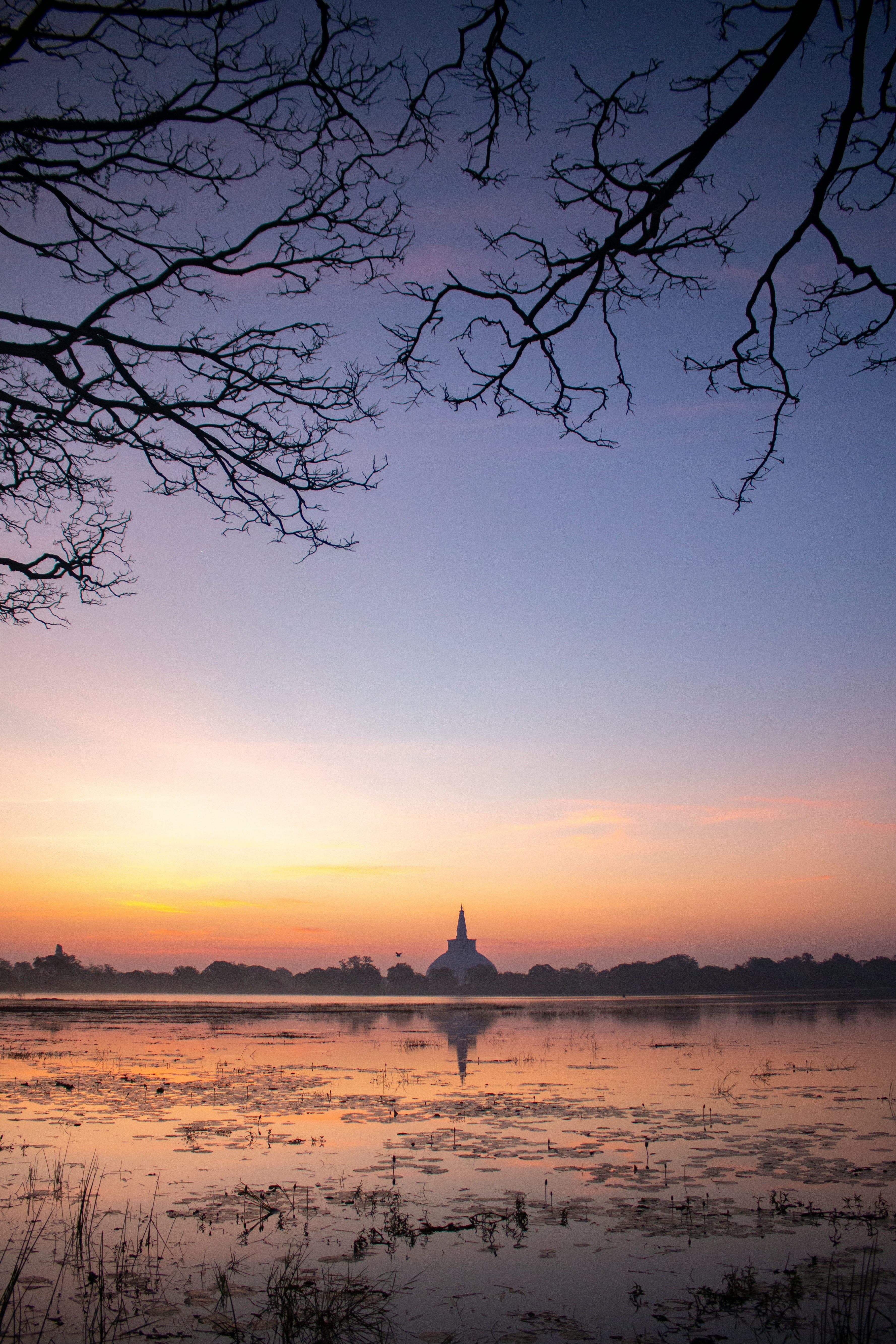Historic stone carvings and ancient sacred monuments in royal Anuradhapura.