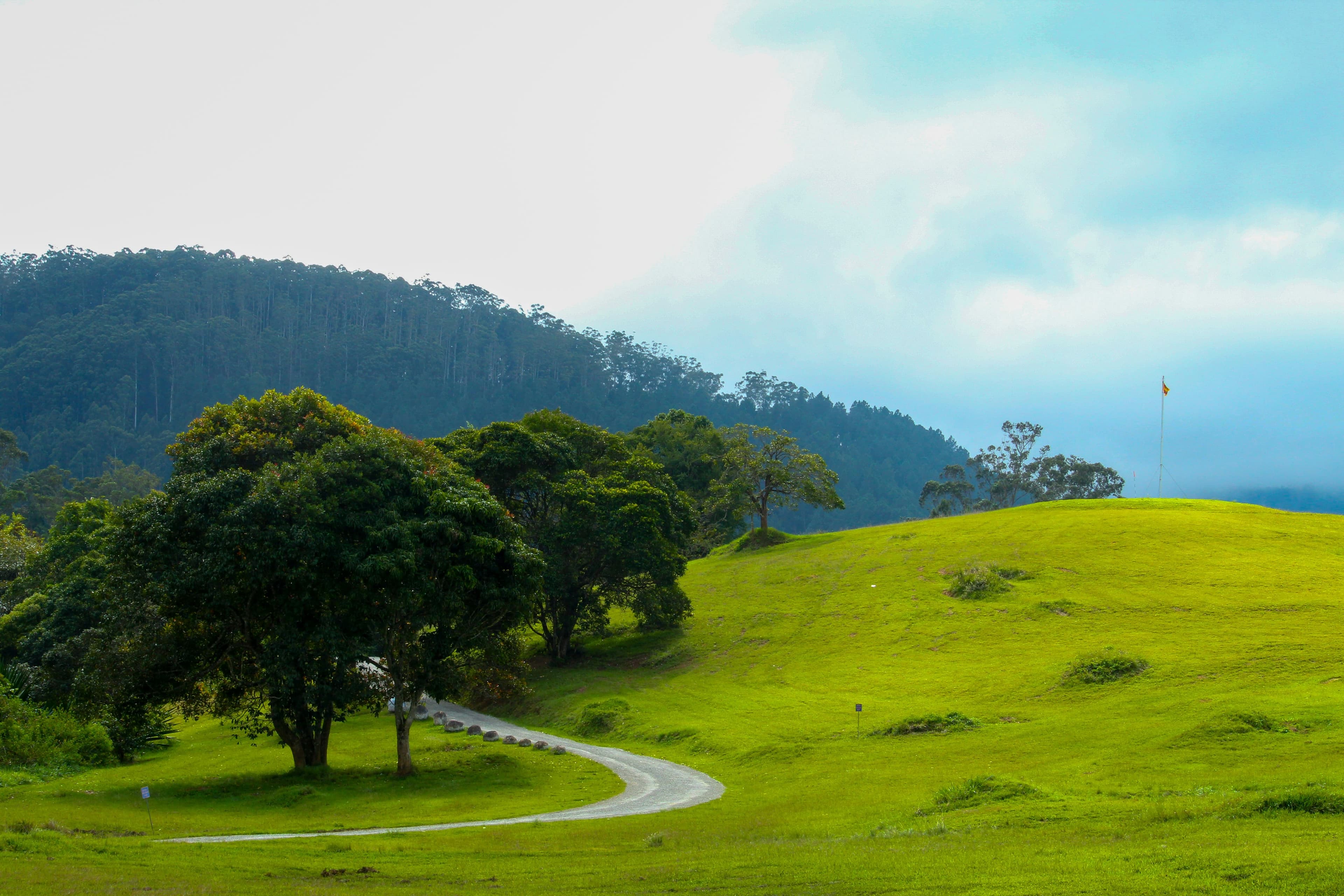 Endless rolling green tea plantations in the cool highlands of Little England.