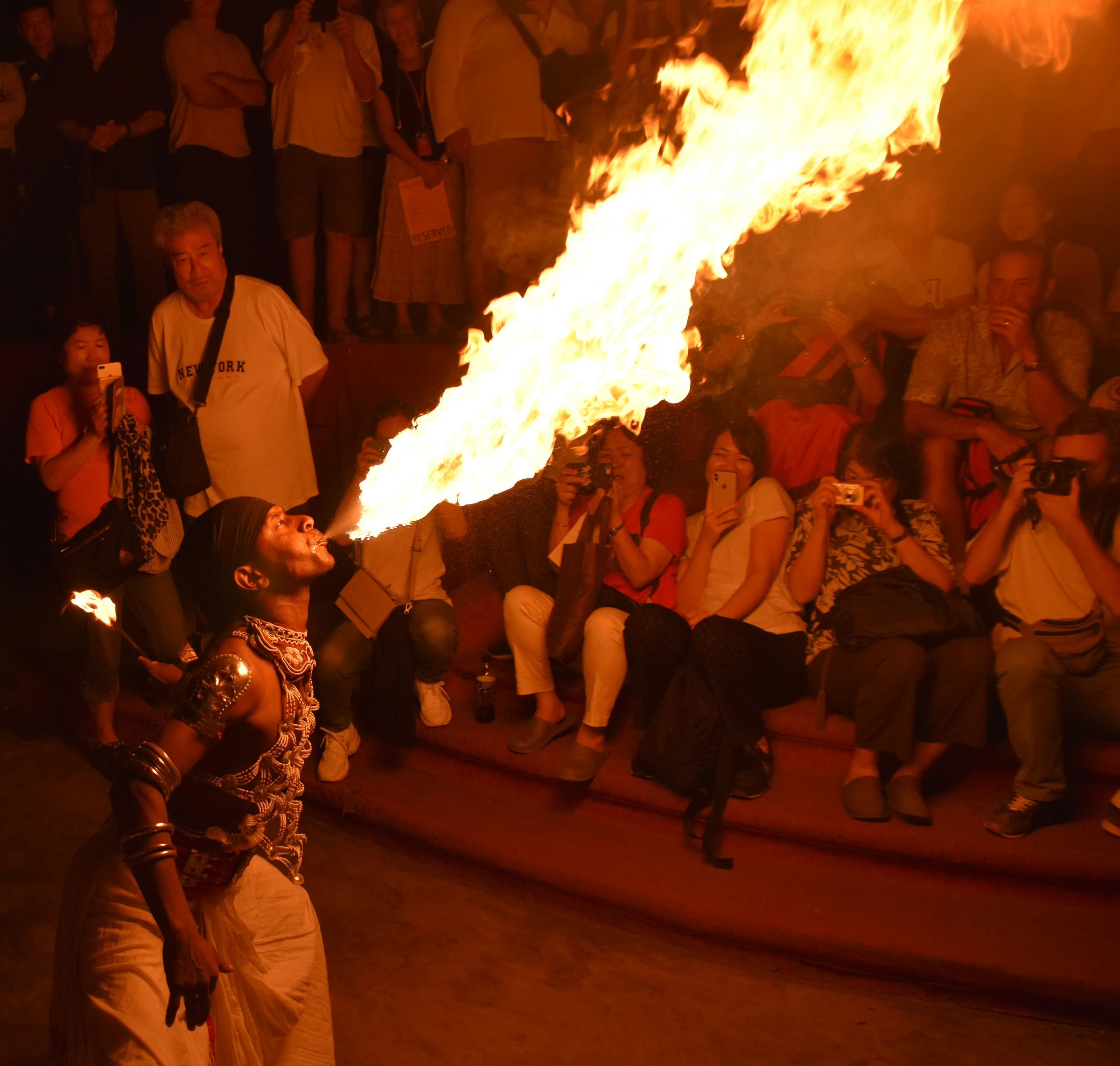 Spectacular traditional cultural festival with decorated elephants and traditional dancers.