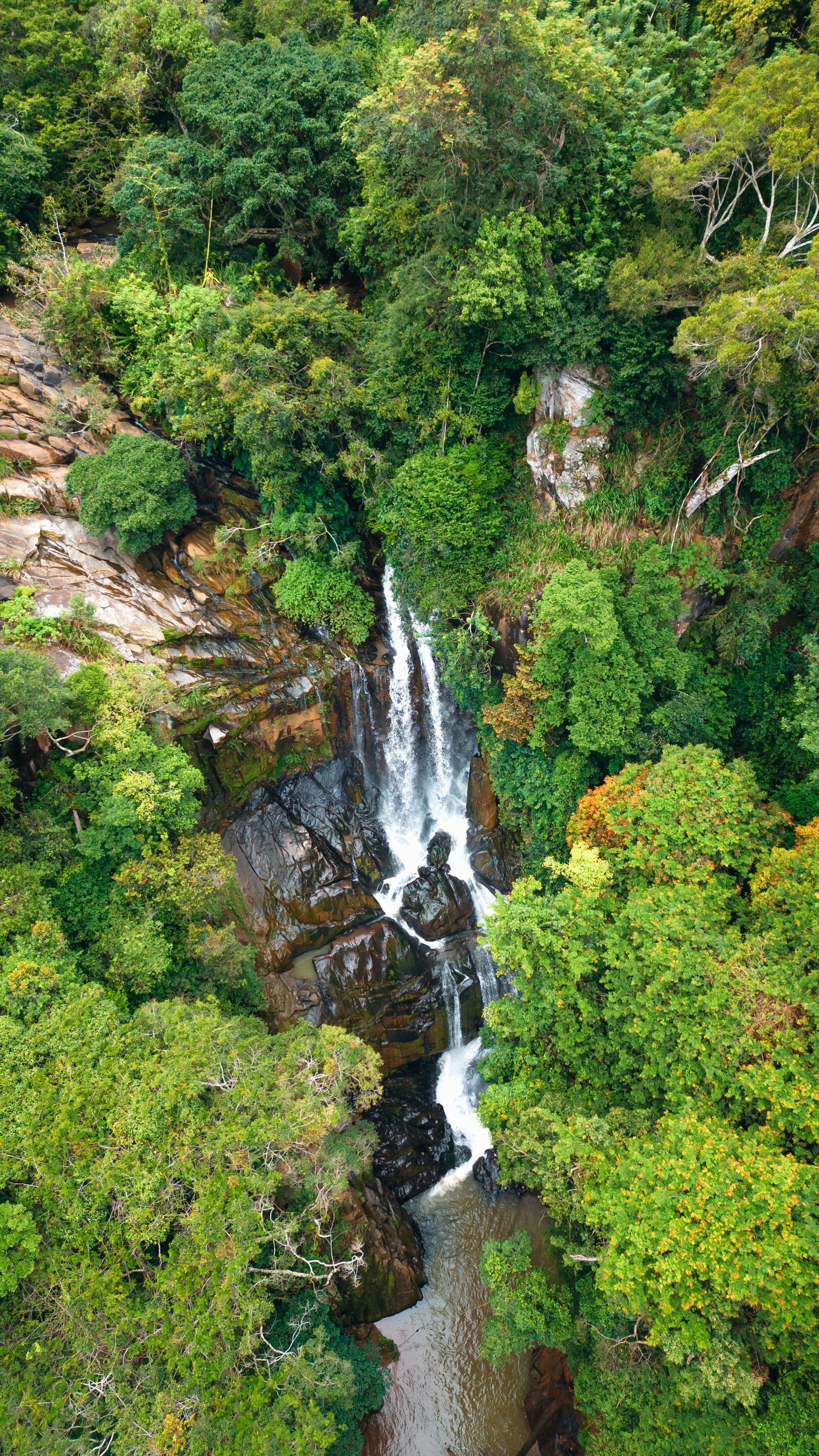 Thunderous mountain waterfall cascading through lush rainforest cliffs in Sri Lanka.