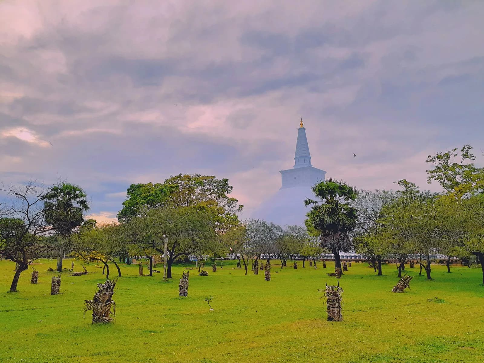 Colossal whitewashed dome of Ruwanwelisaya stupa surrounded by elephant carvings in Anuradhapura