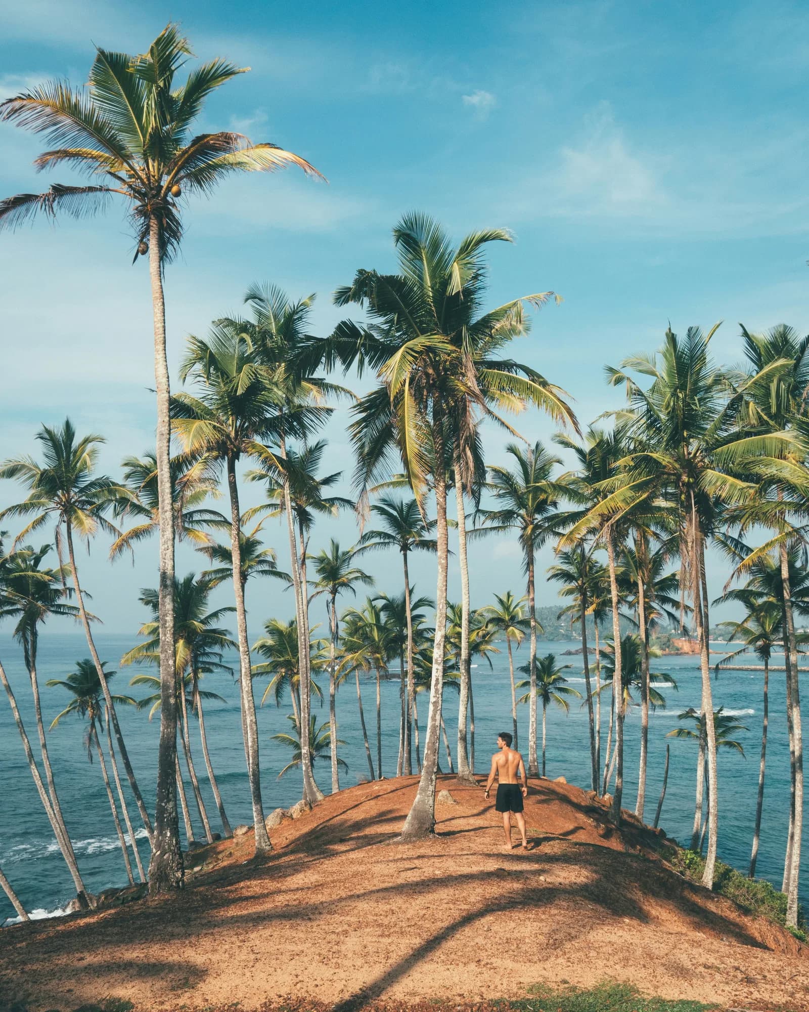 Turquoise ocean waters and swaying palms in Mirissa along Sri Lanka's south coast during peak beach season