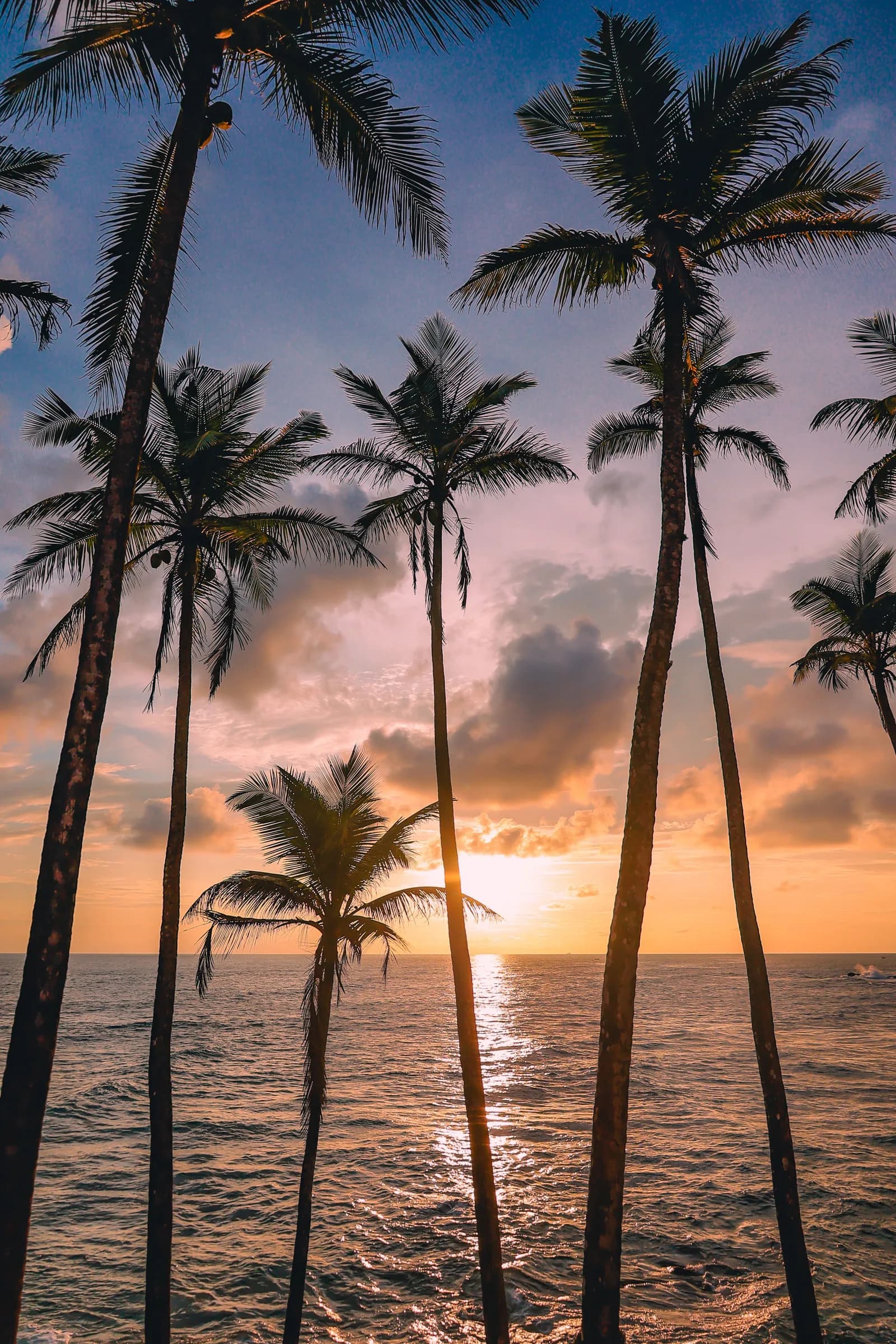 Panoramic view of a Sri Lankan south coast beach with turquoise water and palm trees