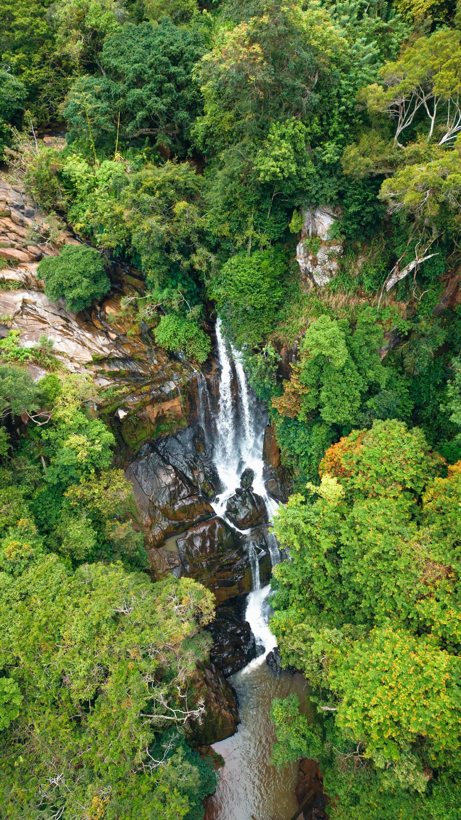 Thunderous mountain waterfall cascading through lush rainforest cliffs in Sri Lanka.