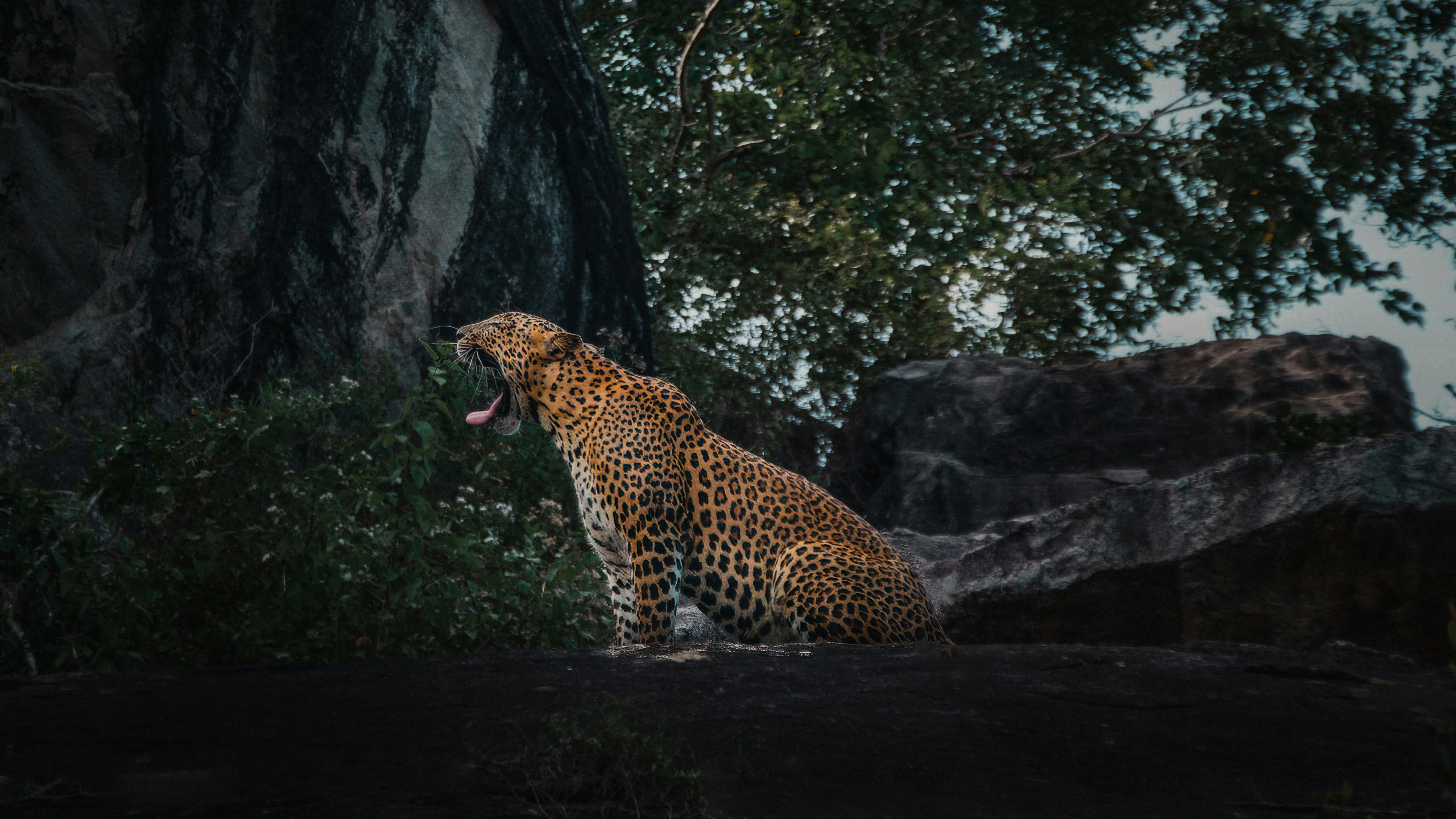 Wildlife & Nature